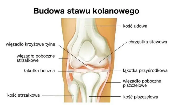 Co zrobić, gdy doskwiera ból kolana po bieganiu? Sprawdzone sposoby na ulgę