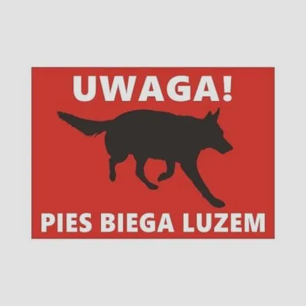 Co zrobić, gdy zauważysz psa biegającego luzem w okolicy?