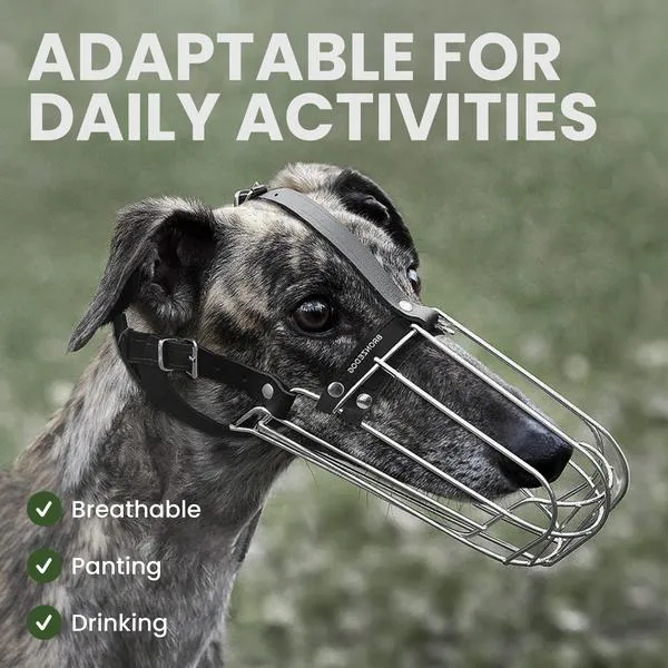 Chart greyhound osiągnięcia
