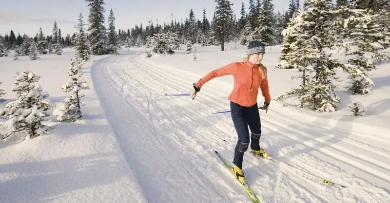 Narciarstwo biegowe za granicą