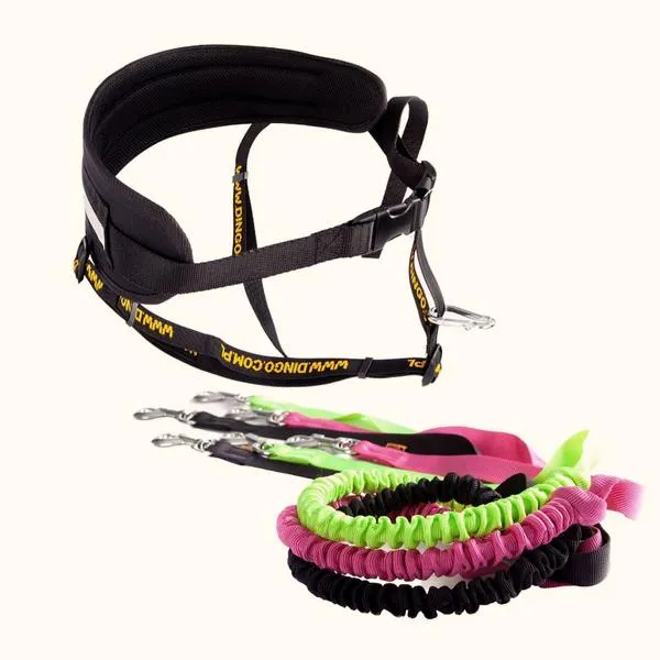 Pas do biegania z psem