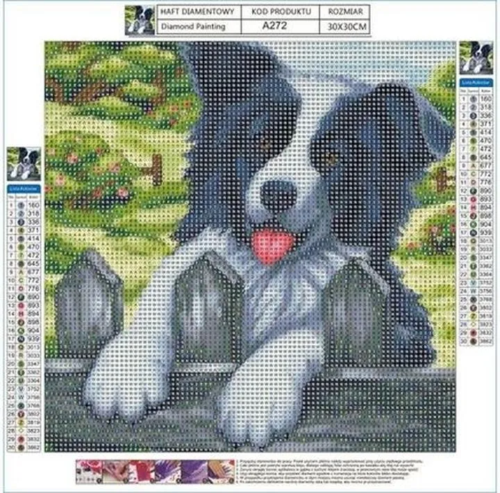 Trening psa i korekta zachowań