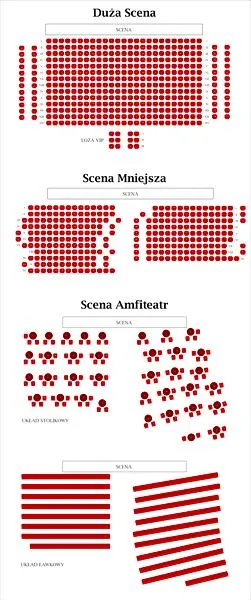 Wrażenia widzów spektakli