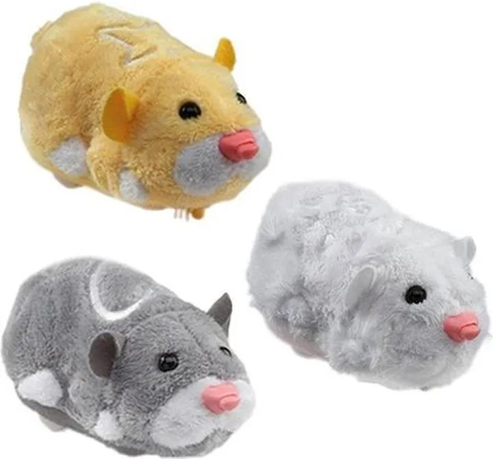 Zachowanie chomików